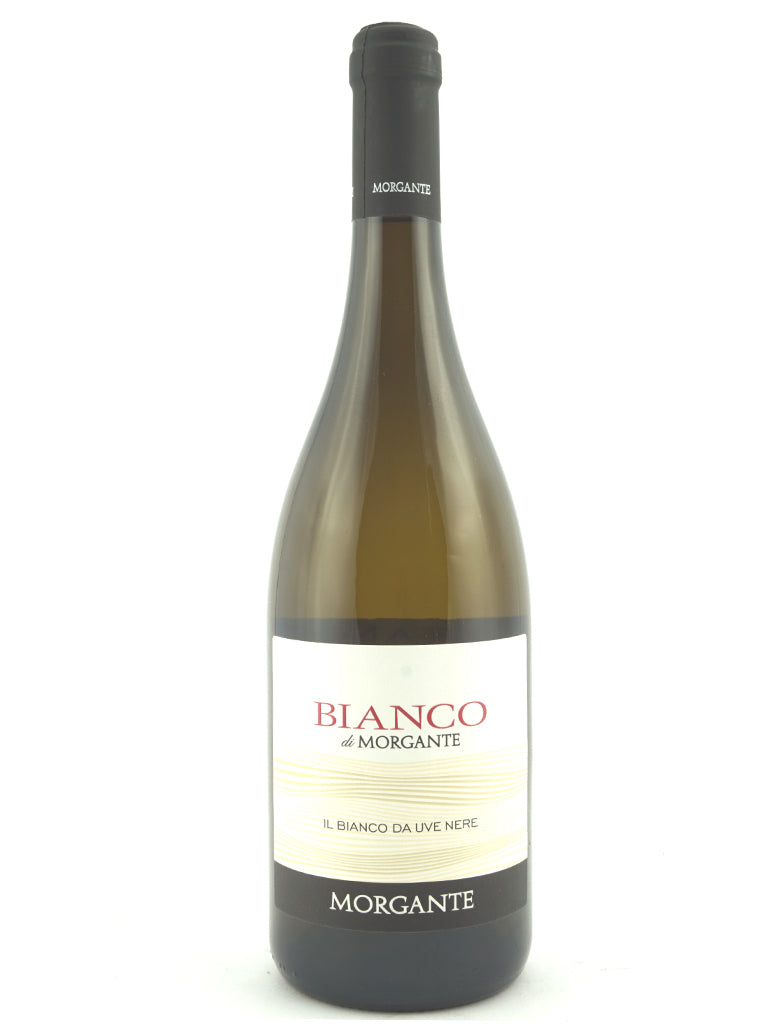Bianco di Morgante 2025 Morgante