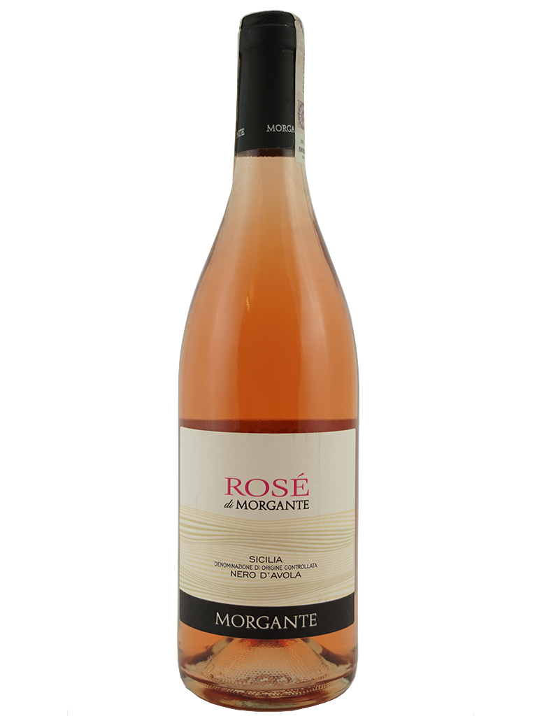 Rose di Morgante 2025 Morgante