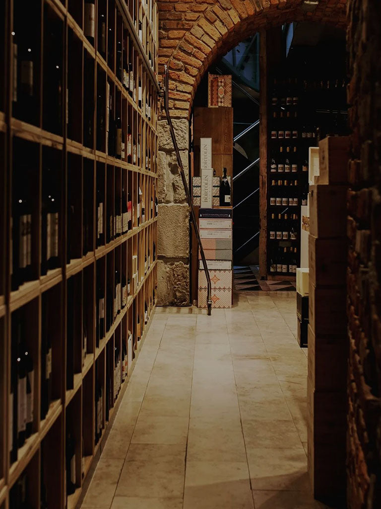 vino13